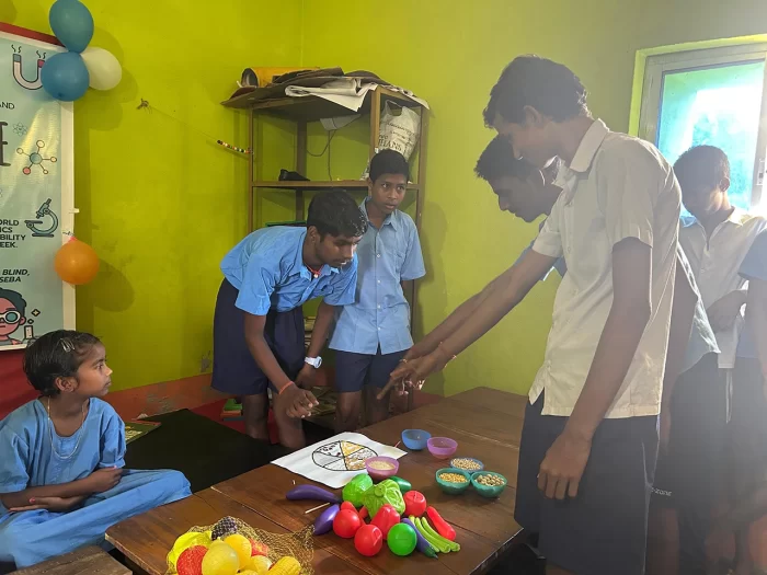 Bichitrananda School For The Blind, Managed by Maa Bhagabati Seba Sangha, Ogalpur, Puri, Odisha
